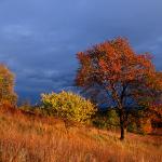  Roztocze Region - South East Poland 