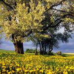  Roztocze Region - South East Poland 