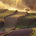  Roztocze Region - South East Poland 