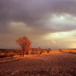  Roztocze Region - South East Poland 