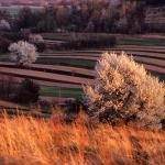  Roztocze Region - South East Poland 