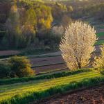  Roztocze Region - South East Poland 