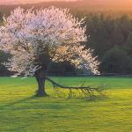  Roztocze National Park 