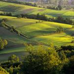  Roztocze Region - South East Poland 