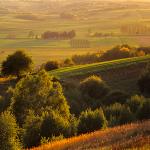  Roztocze Region - South East Poland 