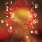  Round-leaved sundew (Drosera rotundifolia) 