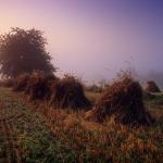  Roztocze Region - South East Poland 