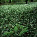  Roztocze Region - South East Poland 