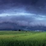  Roztocze Region - South East Poland 