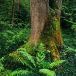  Roztocze Region - South East Poland 