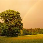  Roztocze National Park 