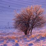  Roztocze Region - South East Poland 
