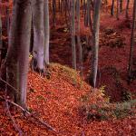  Roztocze Region - South East Poland 