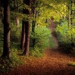  Roztocze National Park 