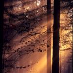  Roztocze National Park 