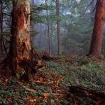  Roztocze National Park 