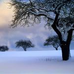  Roztocze National Park 