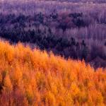  Roztocze Region - South East Poland 