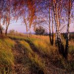  Roztocze Region - South East Poland 