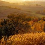  Roztocze Region - South East Poland 