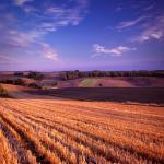  Roztocze Region - South East Poland 