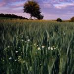  Roztocze Region - South East Poland 