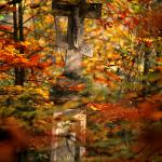  Roztocze Region - South East Poland 