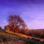  Roztocze Region - South East Poland 