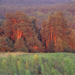  Roztocze Region - South East Poland 