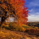  Roztocze Region - South East Poland 