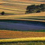  Roztocze Region - South East Poland 