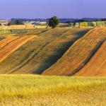  Roztocze Region - South East Poland 