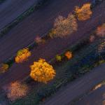  Roztocze Region - South East Poland 