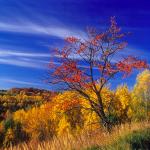  Roztocze Region - South East Poland 