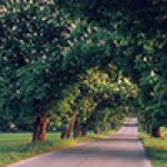  Roztocze Region - South East Poland 