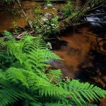  Roztocze Region - South East Poland 