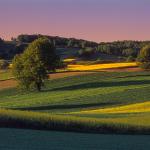 Roztocze Region - South East Poland 