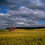  Roztocze Region - South East Poland 